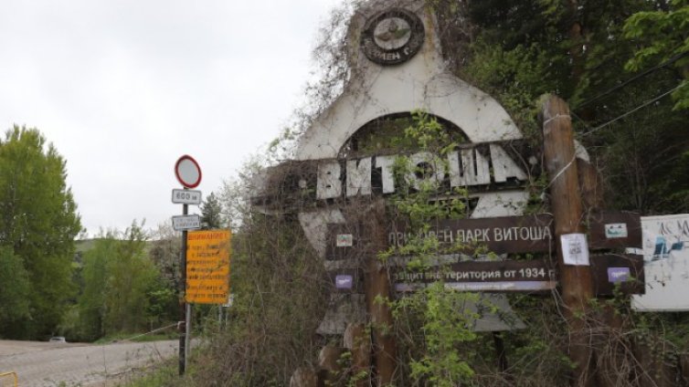 Природен парк "Витоша" е в едно доста добро състояние