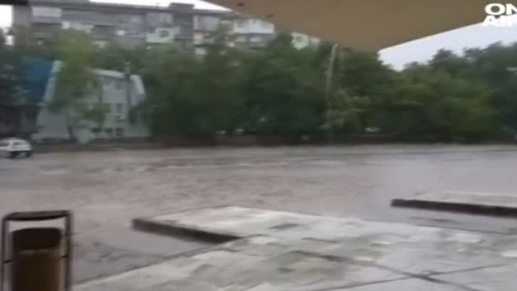 Бедствие във Враца: Паднали дървете блокираха улиците