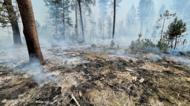 Над 2000 огнеборци се борят с пожар в щата Орегон