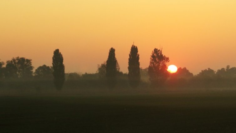 Развитите държави вече са на фронтовата линия в борбата с климата