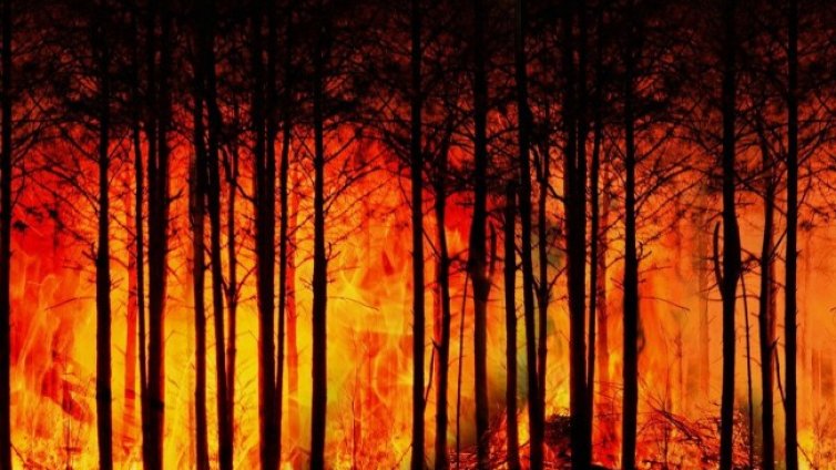 Големи пожари в Канада, евакуират близо 6000 души