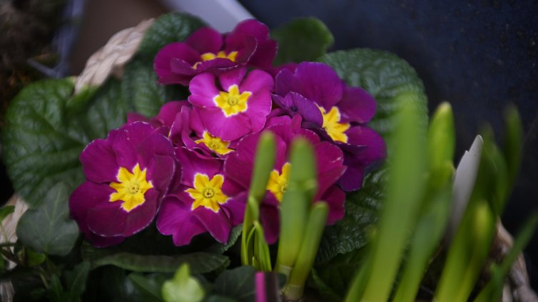 Предимно слънчево ще е днес, с температури до 12&deg;