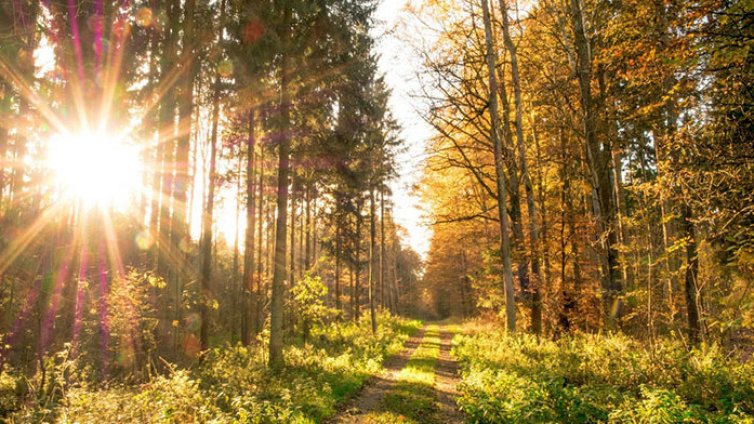 Затопля се рязко, но пак ще вали 