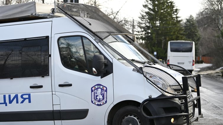 10 души са собствениците на парцела с дървото, убило жена на Витоша