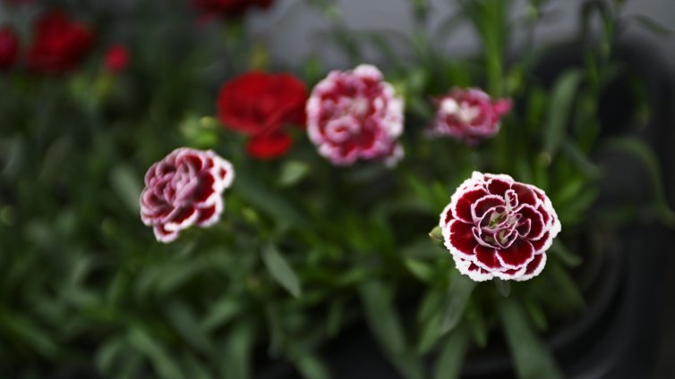 Днес ще превали на места