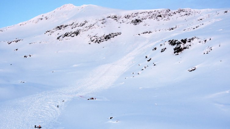 Защо Швеция предлага безплатен престой в тиха горска хижа?