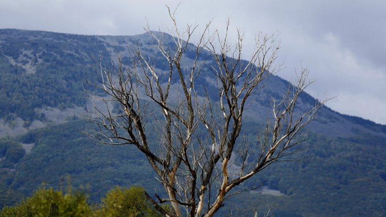 Добри са условията за туризъм в планините, следобед се влошават