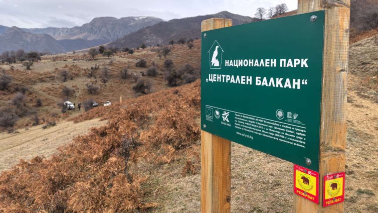 Ужасяваща гледка в наш резерват: Разлагащи се трупове и разчленени животни 