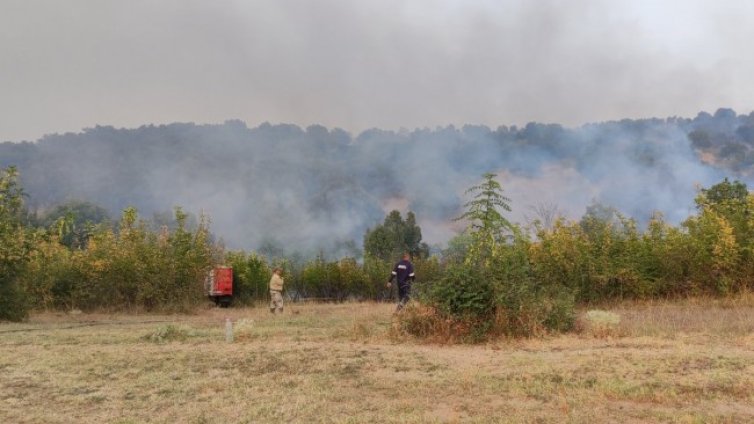 Голям пожар край Харманли, пламнаха две вили
