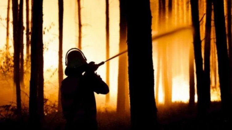 Горският пожар на Френската Ривиера обхванал 6000 хектара