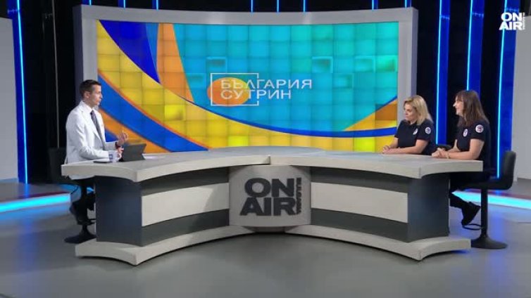"Четири лапи" с мащабна кампания в подкрепа на бездомните животни