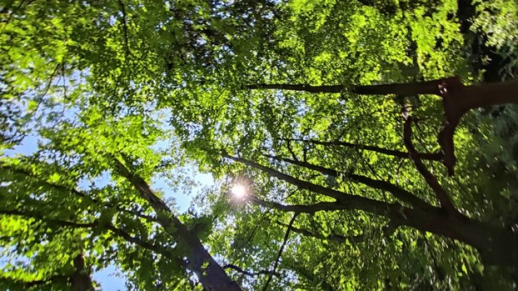 Слънце с високи температури - максималните стигат до 29&deg;