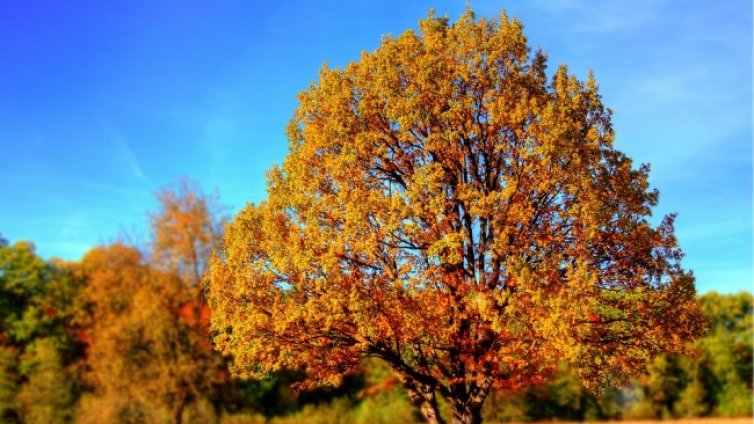 Слънчево и топло и в неделя, градусите до 29&deg;