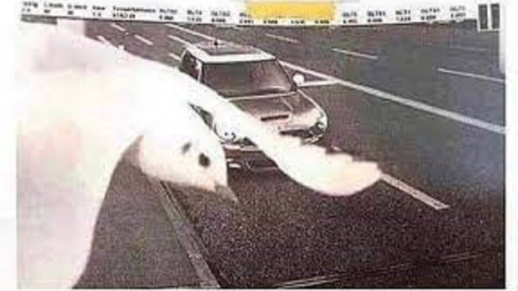 Чайка спаси от глоба водач, карал с превишена скорост 