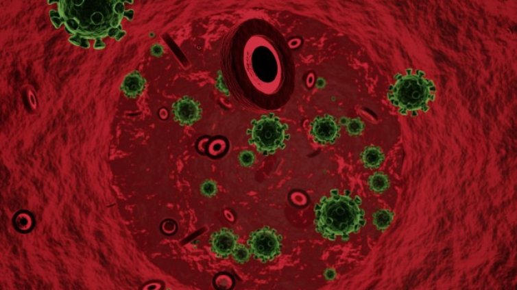Ще повлияе ли COVID-19 на естествения ни подбор?