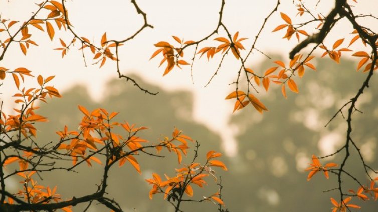 Захлаждане през уикенда, но от 28 октомври отново ще се стопли