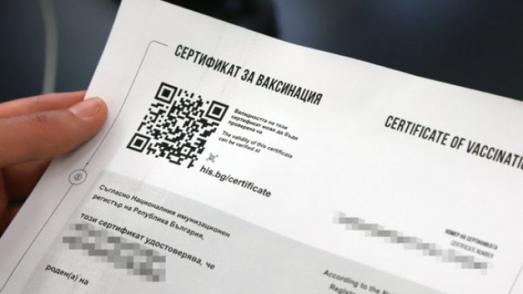 Мими Виткова: Мерките са закъснели и необмислени