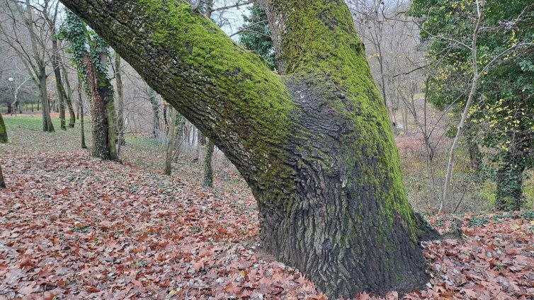 Мъглива събота в равнини и котловини, в останалата част ще бъде слънчево