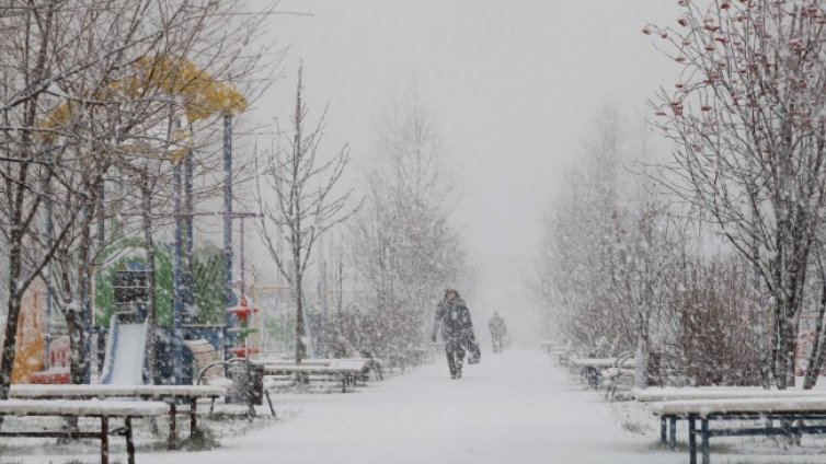 Денят в снимки - 12 ноември