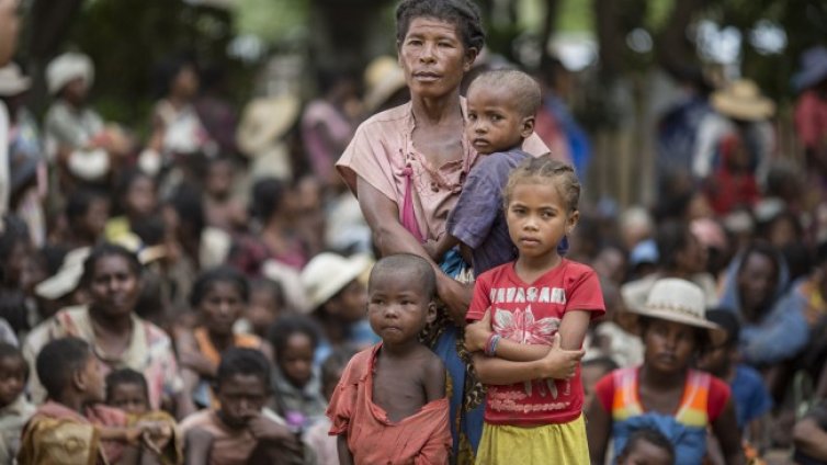 Ядат скакалци, хлебарки, трева и шума: Масов глад в Мадагаскар