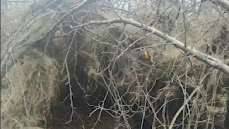 Откриха мигрантски бивак край Ихтиман