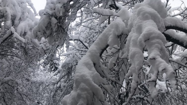 Студен вятър, ниски температури, дъжд и сняг в последния ден от ноември