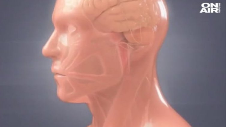 Как да разпознаем коварния менингит, маскиран като настинка