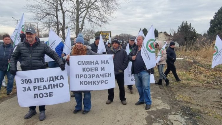 Лозари на протест, ще изкоренят лозята си