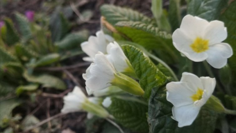 Чака ни слънчев и топъл уикенд, градусите &ndash; до 22