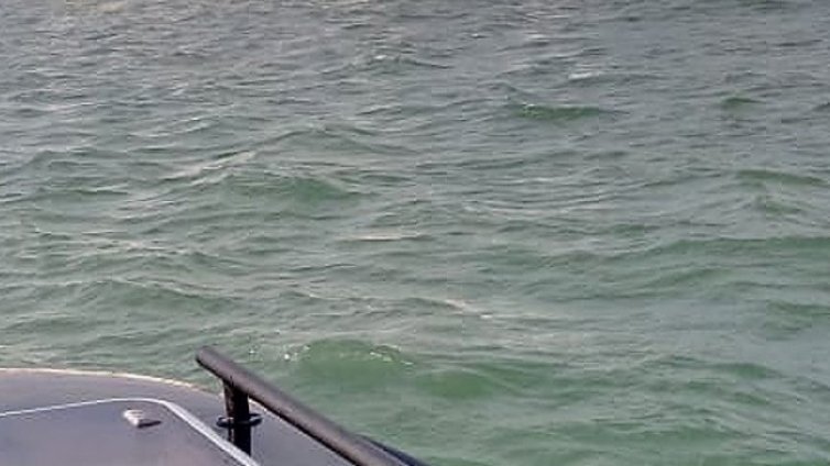 Румънски военни унищожиха мина на 70 км от брега на Черно море