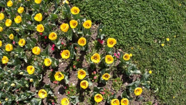 Слънчево и топло в сряда, градусите до 27°