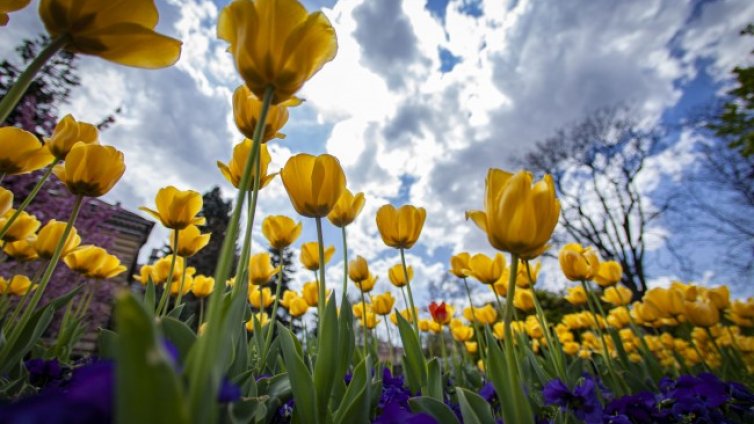 Времето днес: Слънчево, градусите до 29