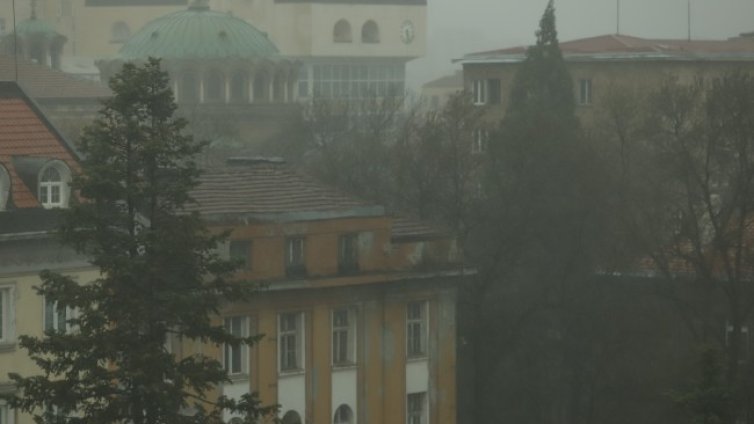 Силна буря връхлетя София, има множество паднали дървета