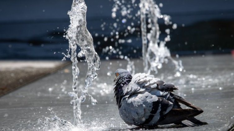 Гореща вълна тормози Западна Европа
