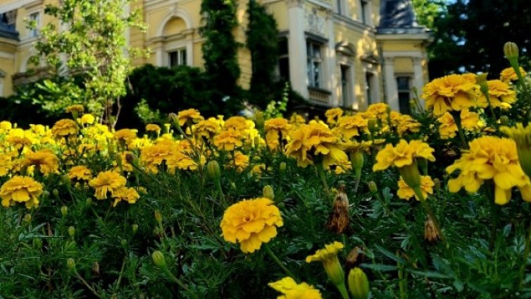 Жега в събота, температурите ще са между 32&deg; и 37&deg;