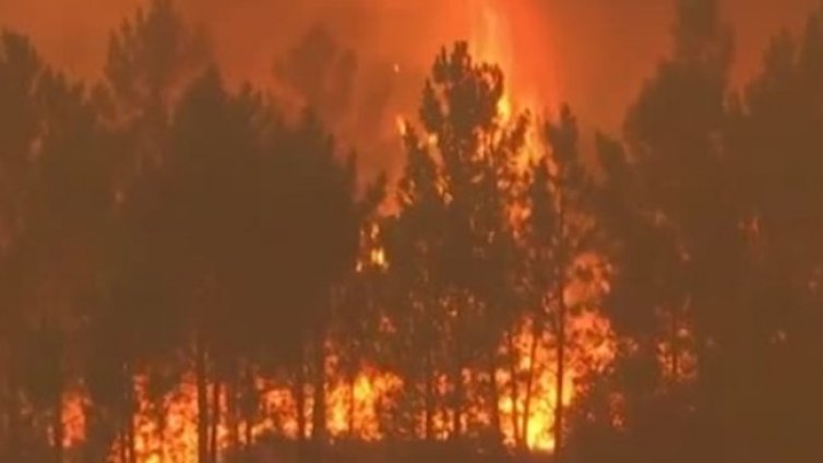 Горещините в Европа предизвикват пожари, Гърция поиска помощ