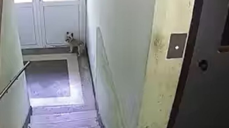 Видео с побой над куче разстърси интернет (+18)