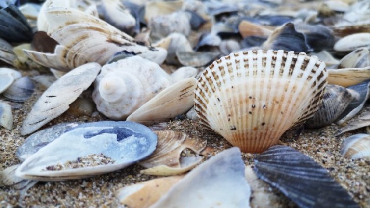 Времето в сряда слънчево и приятно, градусите &ndash; до 36&deg;С