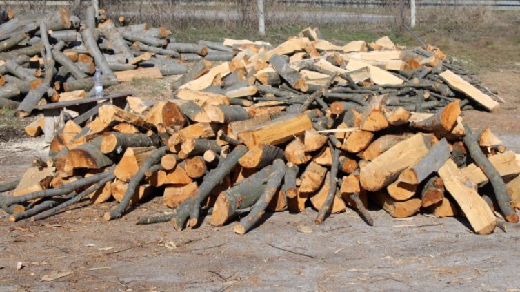 Дърва на цена 10 лв. за кубик ще осигури община Кюстендил