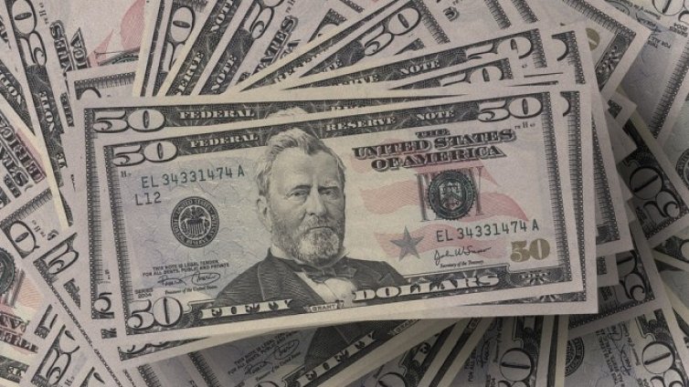 Кучета сдъвкали печеливш билет от лотарията в САЩ