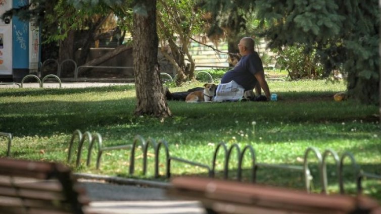 В петък ще е топло с максимални температури до 33&deg;