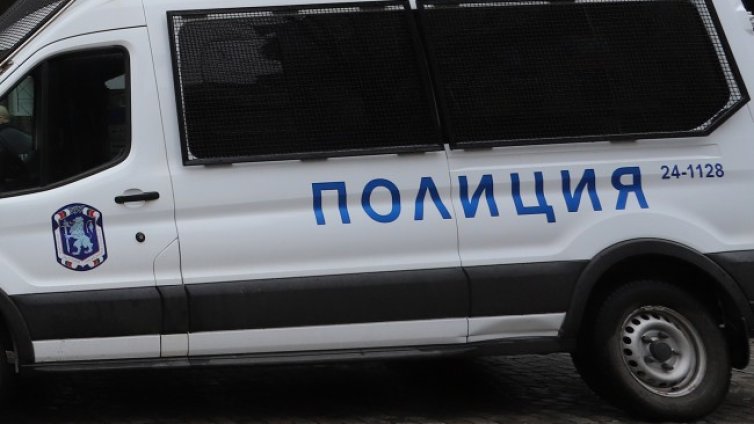  39 нелегални мигранти задържани на &bdquo;Дунав мост&ldquo;