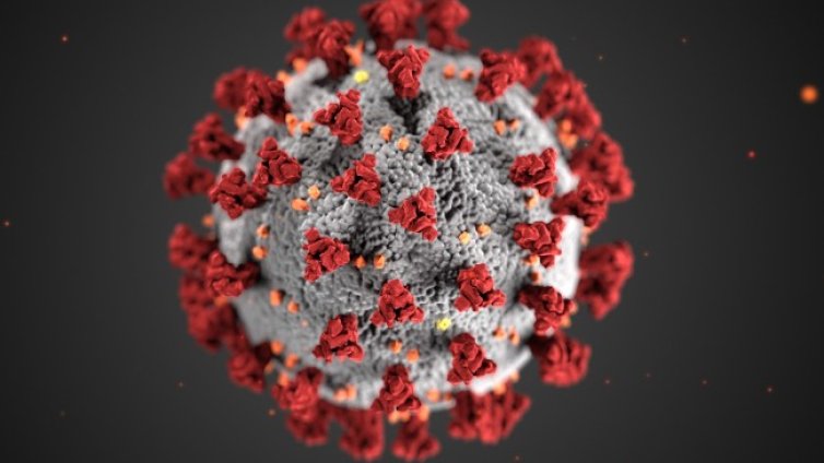 1127 нови случая на коронавирус, 6 души са починали 