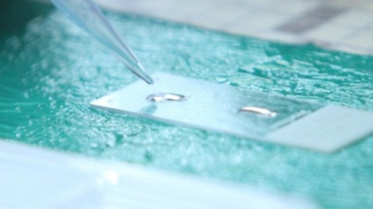 Първи случай на маймунска шарка и в Шри Ланка