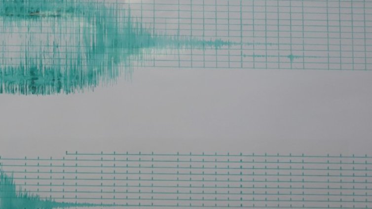 Трус от 6,2 по Рихтер край бреговете на Мексико