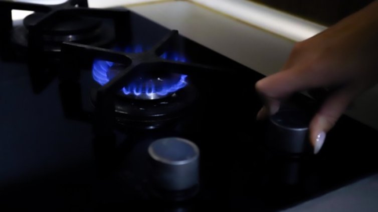 МЕ: Таванът на цената на газа е твърде висок