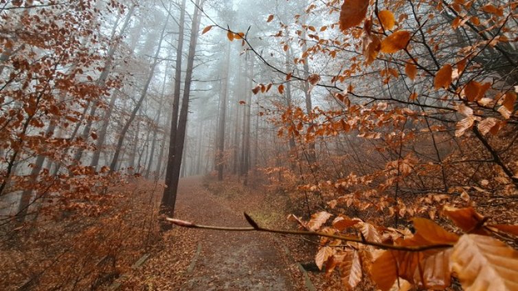 Утре ще е облачно, дъждовно, с температури до 17&deg;С 