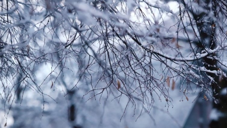 Нови валежи и поледици, температурите стигат 12&deg;