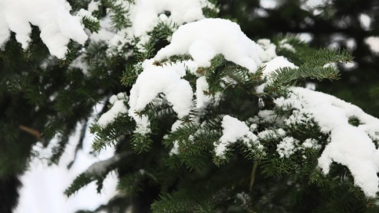 Изпращаме с топло време 2022 г, застудява от първия ден на новата година