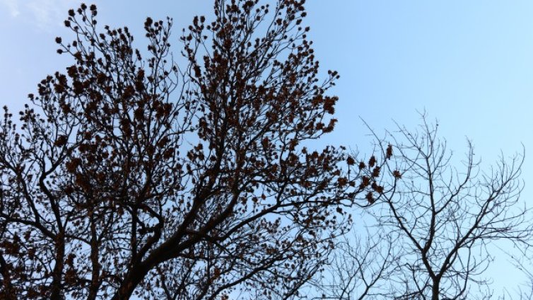 И днес ще е топло с температури до 14 градуса